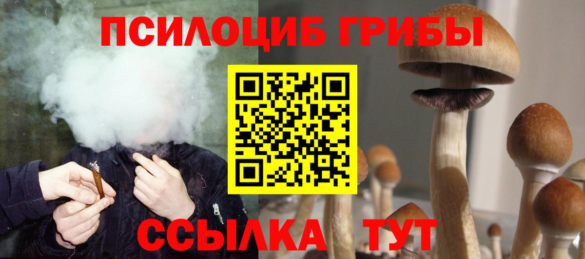 Псилоцибиновые грибы ЛСД Курчалой