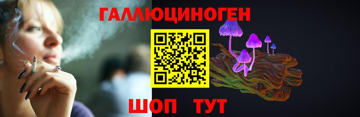 Галлюциногенные грибы мухоморы  Вход с VPN  Курчалой 